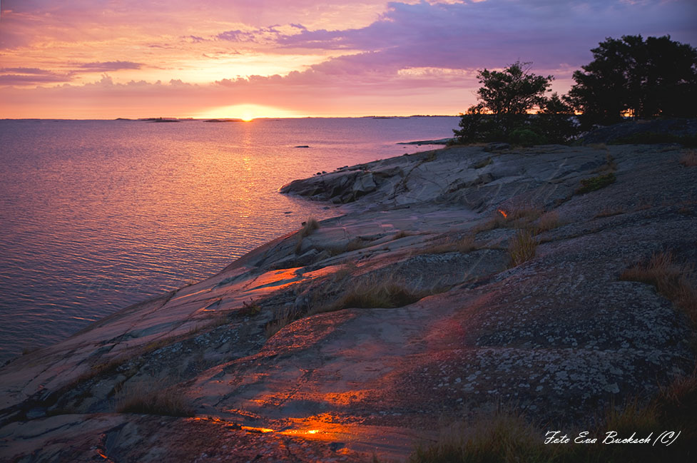 Foto av Eva Bucksch